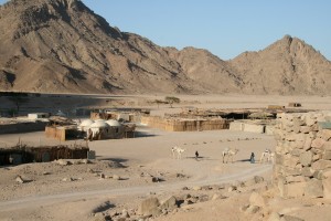 beduínska osada Omo Dalwa